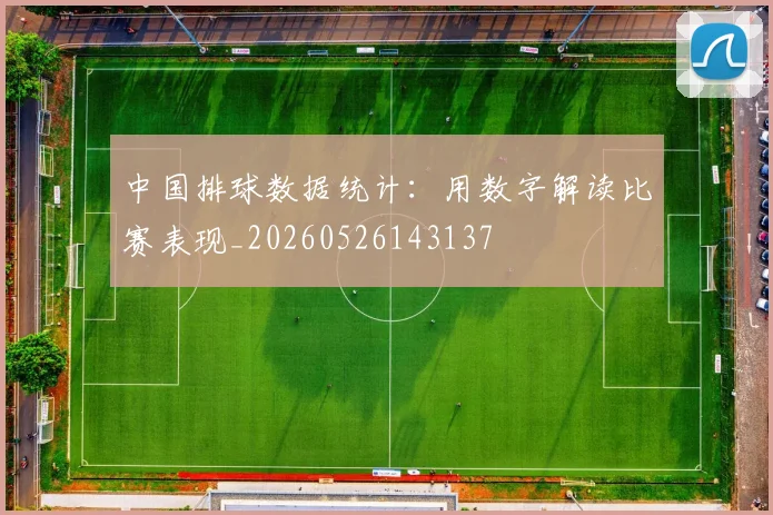 中国排球数据统计:用数字解读比赛表现_20260526143137