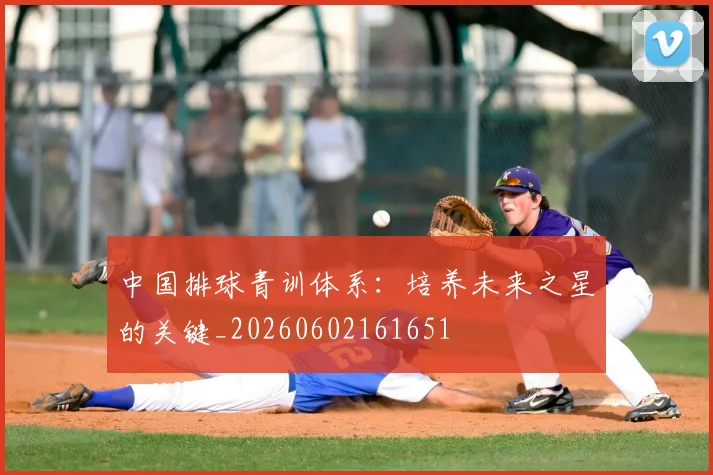 中国排球青训体系：培养未来之星的关键_20260602161651